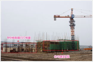 德系品質(zhì)筑就時代標桿 時代天驕3月最新工程進度全面解讀