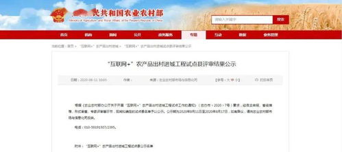 全市唯一！金鄉(xiāng)縣擬入選互聯(lián)網(wǎng)+農(nóng)產(chǎn)品出村進城工程試點縣，新沂探索互聯(lián)網(wǎng)游戲服務發(fā)展