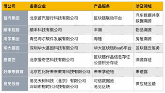 首批區塊鏈信息服務備案名單公布，京東、愛奇藝等互聯網巨頭積極布局